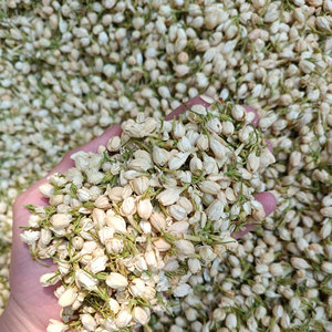 ดอกมะลิแห้งธรรมชาติ ชาสมุนไพร ผลิตในเวียดนาม โรงงานขายส่ง รับผลิตและส่งออก - Product Image 1