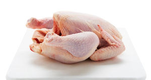 Pechuga de Pollo Congelada Sin Hueso, Certificada Halal, Sin Piel, Carne de Aves Fresca de Granja, Calidad Premium, Empaque Higiénico para Exportación - Product Image 4