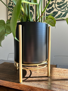 Maceta de Metal Negra con Soporte Dorado, Estilo Moderno de Mediados de Siglo, Elegante Exhibidor de Plantas para Interiores, para Sala de Estar - Product Image 6