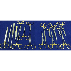 Ensemble de 17 instruments chirurgicaux vétérinaires pour la stérilisation, en acier inoxydable, réutilisable, kit chirurgical d'ovariohystérectomie, qualité hospitalière - Product Image 1