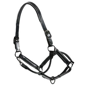 Licol de cheval anatomique de qualité supérieure en cuir verni pleine fleur boucles en acier inoxydable rembourrées souples Horsekraft écologique - Product Image 3