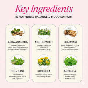 Premium Ayurvedic Herbal Capsules Dietary <b>Supplement</b> OEM Private Label GMP Certified Manufacturer - Product Image 2