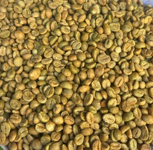 Envío a granel directo de fábrica en Vietnam – Granos de café verde premium envasados en bolsas de PP/yute de 60 kg, humedad máxima del 13% - Product Image 6