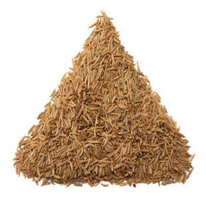 Semillas de Jeera Indias Enteras con Calidad Aromática Tradicional para Mercados Globales de Especias, Importadores y Fabricantes de Alimentos - Product Image 6