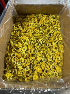 Proveedor de Fábrica en Vietnam de Flores de Manzanilla Secas para Té Herbal, Venta al Por Mayor, Fabricante y Exportador - Product Image 6