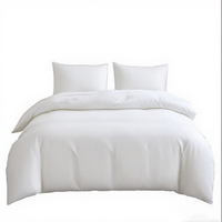 Ensemble de literie d'hôtel en polyester blanc de haute qualité 300TC, OEM ODM, vente en gros, doux, respirant, durable, linge de lit de luxe personnalisable