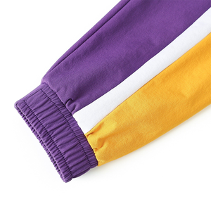 Chaqueta Cortavientos Omega Morada con Media Cremallera, Diseño Personalizado Morado y Dorado, Estilo Fraternidad, Ropa Universitaria y Colegial, Venta al por Mayor - Product Image 3