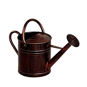 Regadera de Metal Elegante, Brillante y de Alta Calidad para Jardín y Hogar, Fabricada en India, Herramienta para Regar Plantas - Product Image 3