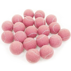 Ballons de cricket roses de haute qualité à prix abordable pour les matchs d'équipe et les tournois - Product Image 1