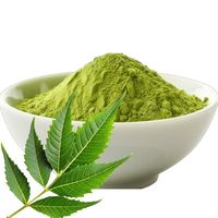 Groothandel 100% natuurlijk Neem bladpoeder, voedingskwaliteit, kruidenextract, Neem poeder, ideaal voor de immuun- en darmgezondheid