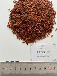 Arroz Integral Largo Orgánico Certificado HACCP de Vietnam |   Celeste VILACONIC Precio de Fábrica al por Mayor |   Arroz Saludable 12 Meses - Product Image 6