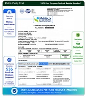 Poudre de Matcha Biologique Standard UE en Vrac Qualité Cérémoniale et Culinaire Certifiée USDA et UE Fournisseur