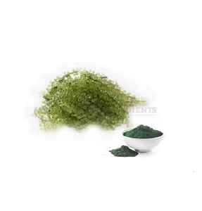 Extrait de spiruline en poudre, superaliment naturel à base de plantes, qualité alimentaire, riche en phycocyanine, complément alimentaire à base de plantes - Product Image 1
