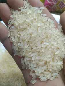 ข้าวสารขาว IR 64 ขายดีที่สุด ข้าวแห้ง 5% แตกเม็ด ข้าวเมล็ดยาว ไม่ใช่ข้าวบาสมาติ เนื้อนุ่ม คุณภาพสูง ราคาถูก สำหรับขายส่ง - Product Image 1