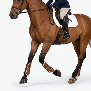 Bottes de brossage pour jambes de cheval durables, conçues avec des intérieurs rembourrés, fermeture sécurisée et ajustement confortable pour les chevaux actifs. - Product Image 6