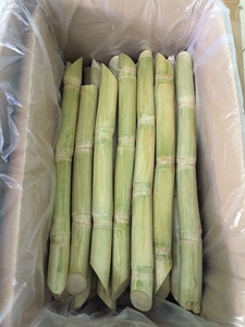 Trozos de Plátano Congelados IQF envasados al vacío a granel, de forma alargada, fruta de cultivo común con conservación de agua para la industria de bebidas - Product Image 5