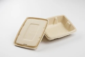 Oceanic Global - Contenedor Rectangular Desechable Moderno de 500 ml, Moldeado con Pulpa de la Mejor Calidad, Fibra Natural Compostable, Caja para Alimentos de Uso Diario - Product Image 4