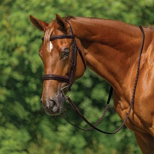 High Quality Brown English Leather Horse Bridle Comfortable Tack Sets Everyday Riding Customizable - Product Image 1
