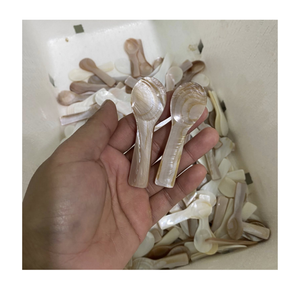 ช้อนเปลือกหอยมุกพรีเมียมขายส่ง ภาชนะใส่อาหารจากเปลือกหอยมุกสำหรับโรงแรมและร้านอาหารระดับหรู - Product Image 4
