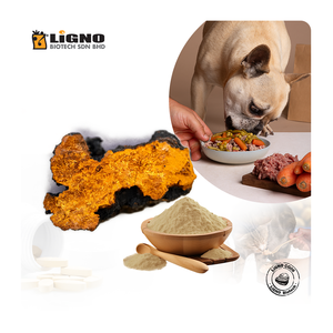 LiGNO CG06 ™   Poudre de champignon Chaga - Ingrédient de complément alimentaire pour animaux de compagnie, antioxydant et soutien immunitaire - OEM Malaisie - Product Image 1
