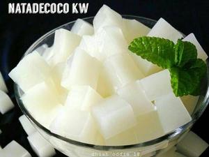 น้ำเชื่อมเนื้อมะพร้าวขาวขายดีที่สุด - เนื้อเจลลี่ใสมีไฟเบอร์สูง ไขมันต่ำ เหมาะสำหรับโยเกิร์ตและไอศกรีม - Product Image 3