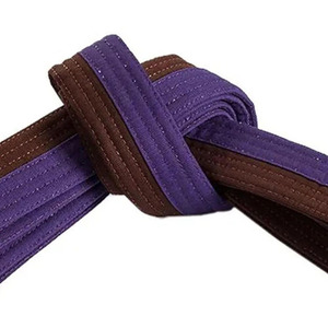 Cinturones de Jiu-Jitsu BJJ para Adultos y Niños, Ropa Deportiva de Interior Unisex, Último Estilo, Cinturón de Judo con Diseño Personalizado, Cinturón de Karate para Artes Marciales - Product Image 2