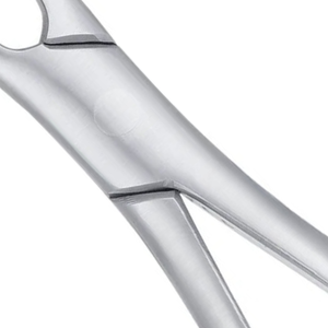 Pinzas de Extracción Apical Universales Superiores AF150, Instrumento Dental Quirúrgico Manual de Acero Inoxidable para Cirugía Oral, CE - Product Image 4