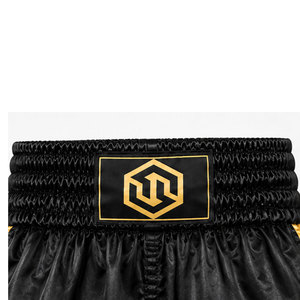 Pantalon de kickboxing Champion Series, respirant, athlétique, avec construction flexible pour un entraînement intensif - Product Image 5