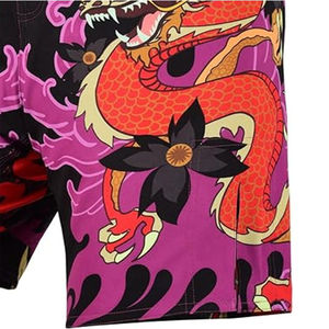 Shorts de Kick Boxing et Muay Thai Personnalisés avec Logo Imprimé, Séchage Rapide, Équipement de Combat MMA, Taille Adulte, Conception OEM Personnalisée - Product Image 3