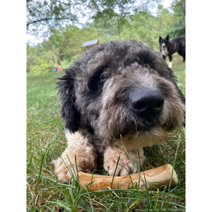 Eco2go Vietnam Eco-Friendly High Quality Wooden Coffee Dog Chew Toys Natural Wood Made in Vietnam - Product Image 1