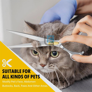 Unique Style Hot Sale Stainless Steel Manual Straight Pet Grooming <b>Scissors</b> Low MOQ New Design - Product Image 5