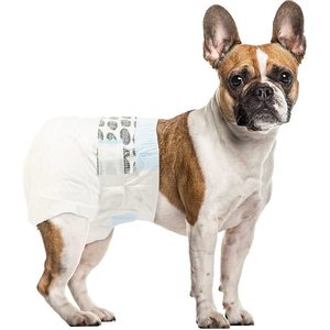 <span class=keywords><strong>Couche</strong></span> pour <span class=keywords><strong>chien</strong></span> jetable, respirante, super douce, absorbante, anti-fuite et imprimée - Product Image 3