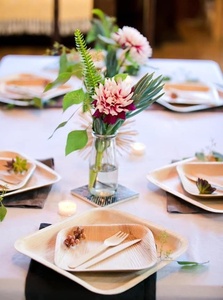 Assiettes de service carrées jetables compostables en Areca de 10 pouces, qualité supérieure, robustes, écologiques et durables pour buffet - Product Image 1