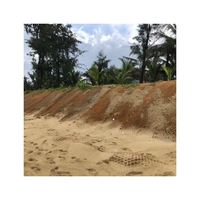 Tapis de chemin en fibre de coco naturelle 100 % biologique, pur, sûr, écologique, robuste, pour extérieur – Vente chaude