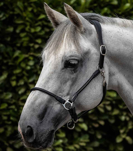 Licol de dressage robuste et pratique pour le travail agricole, avec ajustement confortable, couleurs et logo personnalisables, service OEM, tailles personnalisables - Product Image 5