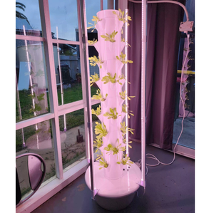 Torre Idroponica Verticale Intelligente con Luce LED Pieghevole per Coltivazione Indoor Commerciale - Product Image 4