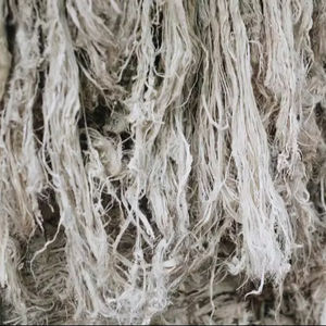 High-Grade Pineapple Leaf <b>Fiber</b> (PALF) - Sustainable Raw <b>Fiber</b> for Green Textile Industries - Product Image 1