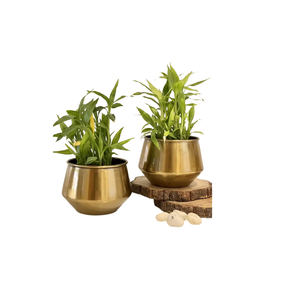 Maceta Metálica con Soporte para Plantas, para Sala de Estar, Balcón, Jardín, Interior y Exterior, Contenedor Decorativo para Plantas, Moderno y Elevado - Product Image 1