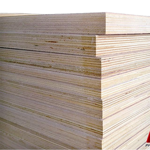 Panneau de placage durable de 28mm d'épaisseur de la société de confiance E0 contreplaqué avec surface de film de conteneur d'expédition standard - Product Image 2