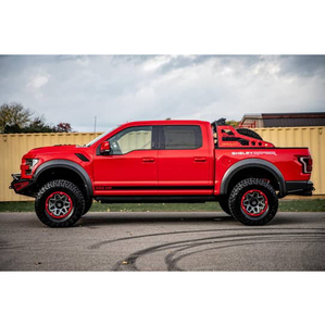 Ford F-150 Shelby Baja Raptor 2019 - Product Image 2