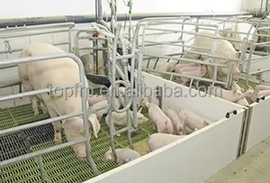 Pig <b>Crate</b> Finishing House Partition Wall Board PVC Hollow Board - Product Image 6