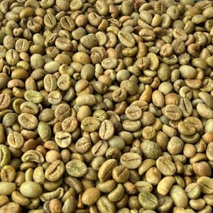 กาแฟโรบัสต้าคุณภาพสูง เกรด A น้ำหนัก 60 กก. ความบริสุทธิ์ 90% ขนาด 16 เมล็ดกาแฟเขียวเวียดนามแท้ บรรจุถุงใหญ่ คุณภาพสูง - Product Image 1