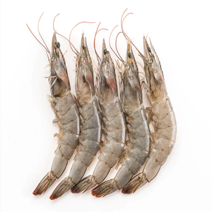 Best Quality Frozen Peeled LQF Headless Skinless Black Tiger Shrimp 12 Months <b>Shelf</b> Life <b>Box</b> <b>Box</b> Natural Color Fried Processing - Product Image 4
