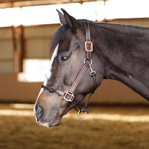 Cabestro de Cuero Ajustable de Lujo para Caballos, OEM Inteligente, Se Aceptan Pedidos - Product Image 4