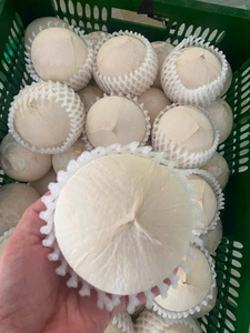 มะพร้าวขัดเงาทั้งลูก โคโค่ เฟรสโก ปูลิโด โคโคส โปรแอสพาต เดโคจิต ผู้ส่งออก (WA +84914319488) - Product Image 2