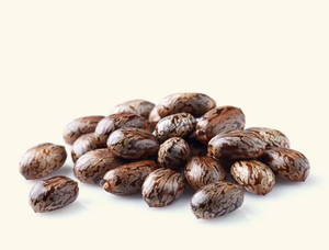 Aceite de Ricino Negro Jamaicano 100% Puro Prensado en Frío Sin Refinar Ideal para Cabello, Piel, Cejas y Pestañas Ayuda a un Cabello Más Grueso y Fuerte 100g - Product Image 2