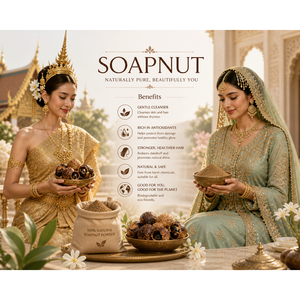 สบู่ลูกหยดน้ำมัน (Soapnut Reetha Aritha Sapindus Mukorossi Soapberry) แบบเม็ดและแบบผง สำหรับดูแลเส้นผมทุกวันสำหรับเด็กและผู้ใหญ่ - Product Image 2