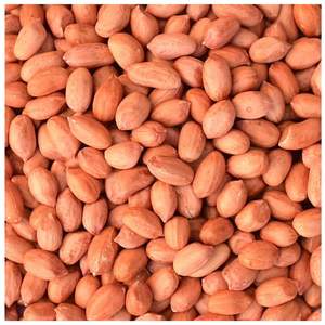 2026 Fast Delivery Available Whole Sale Organic <b>Peanut</b> Dried Kernel <b>Peanuts</b> Groundnut Raw Fresh Red Skin on Discount In Stock - Product Image 1