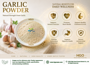 HGO Factory Fourniture directe d'extrait d'ail naturel pur (qualité alimentaire) Spécification Allicine 1% (extrait standardisé) - Product Image 2