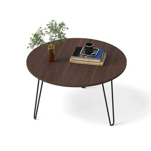 Mayrite Minimalist Design <b>Coffee</b> <b>Table</b>/ Centre <b>Table</b> with Decorative Feature - Product Image 1
